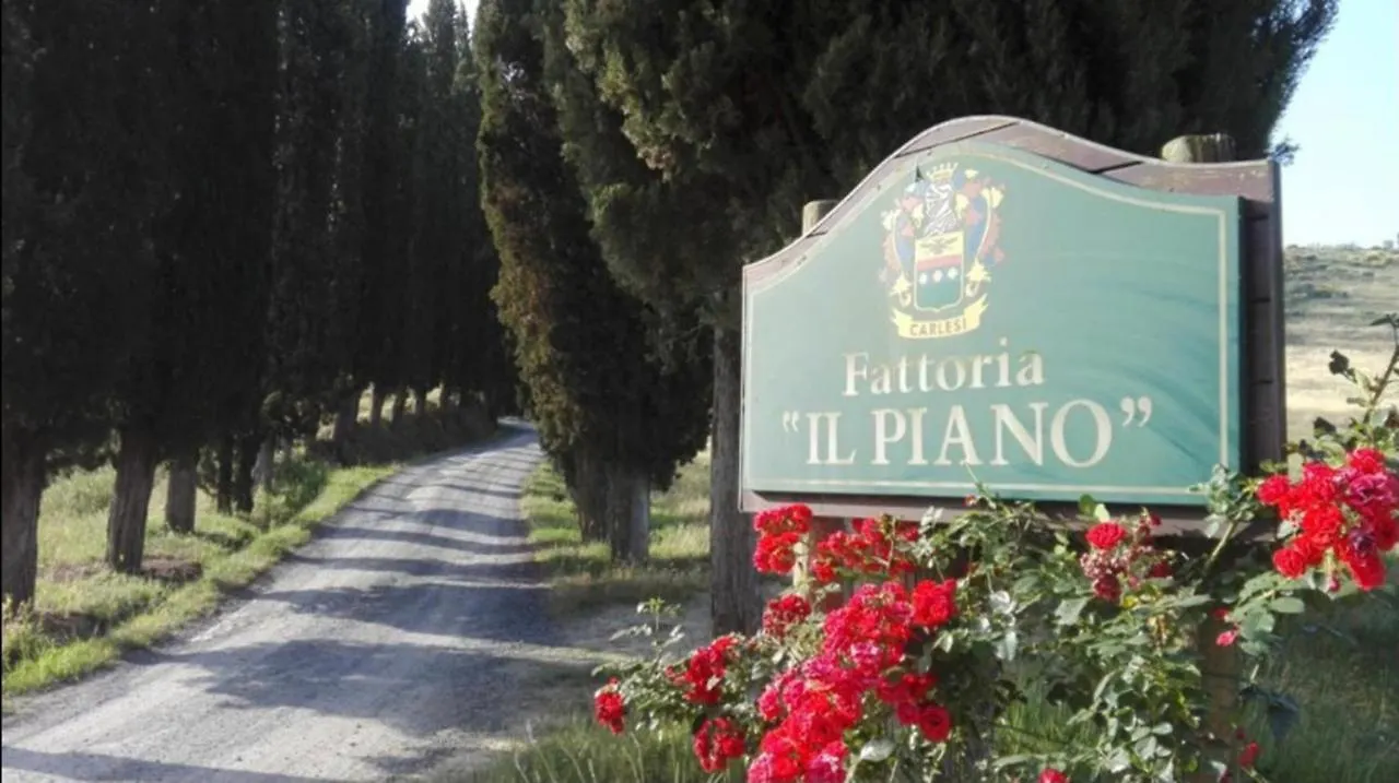 Agriturismo Fattoria Il Piano - Casa Tosca - San Gimignano 0*,  Italië